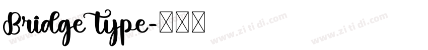 Bridge type字体转换